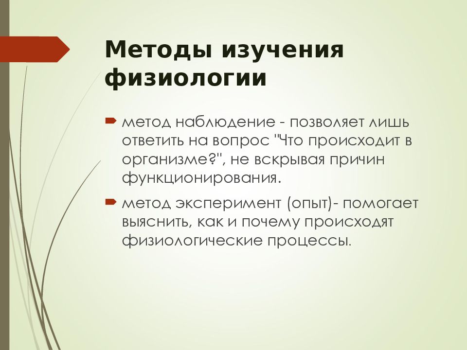 Назовите метод исследования