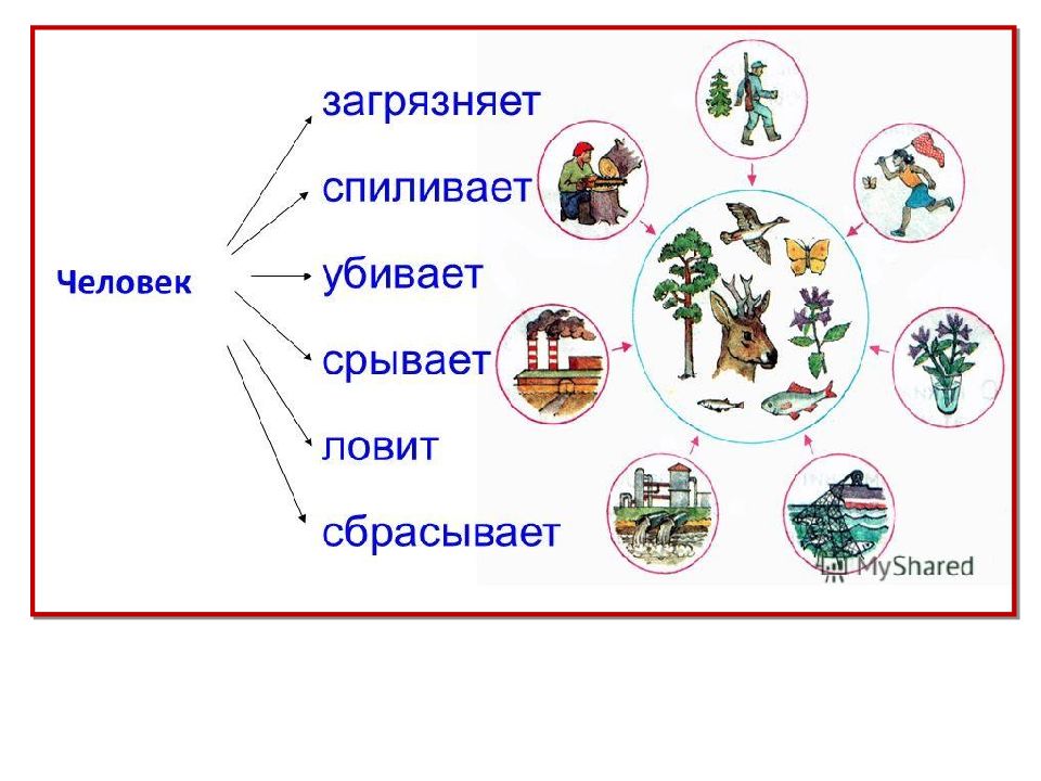 Схема охраны растений