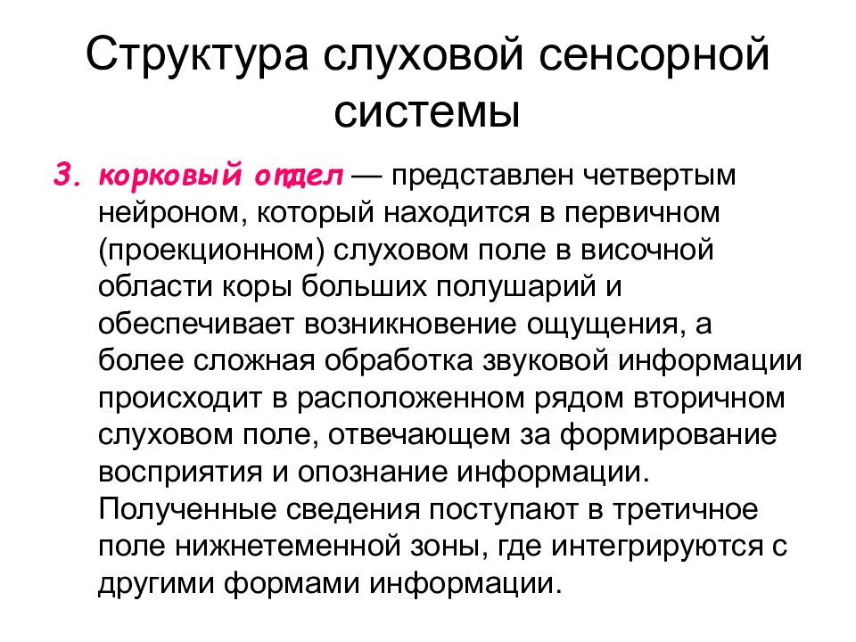 Слуховая сенсорная система презентация