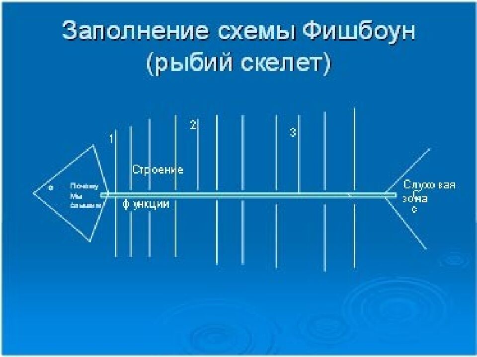 Проверка домашнего задания: I.Тест «Зрительный анализатор» (определить