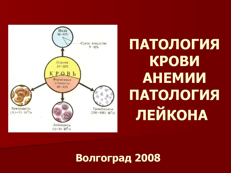 ПАТОЛОГИЯ КРОВИ АНЕМИИ ПАТОЛОГИЯ ЛЕЙКОНА