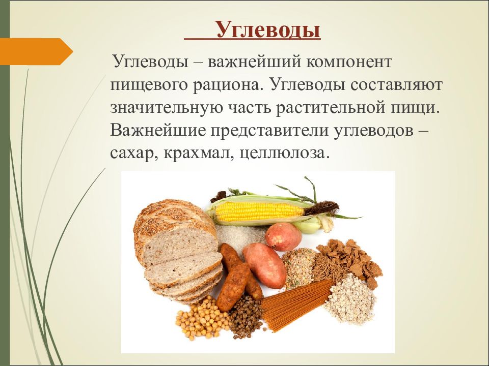 Презентация физиология питания 6 класс технология кулинария