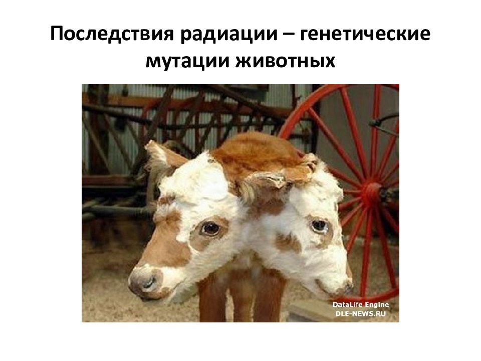 Последствия облучения мозга