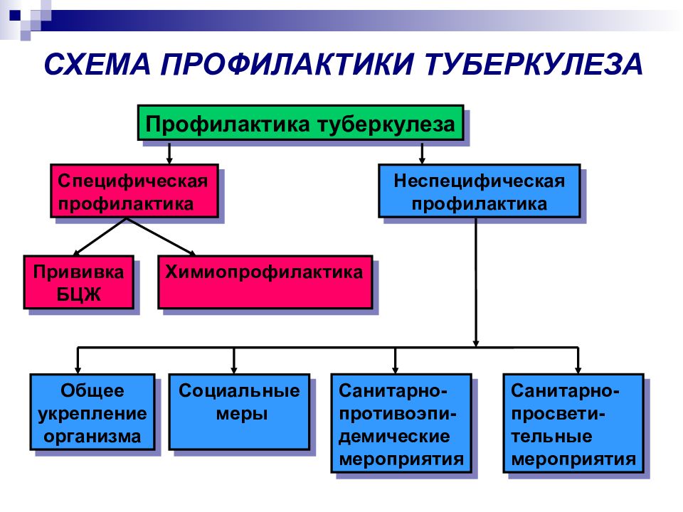 План профилактических мероприятий при туберкулезе