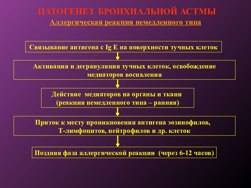 Схема патогенеза бронхиальной астмы