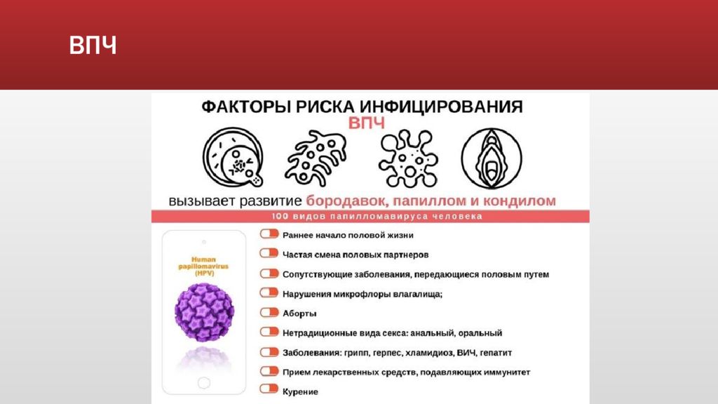 Впч риски. ВПЧ структура. Вирус папилломы человека презентация. Памятка вирус папилломы человека.