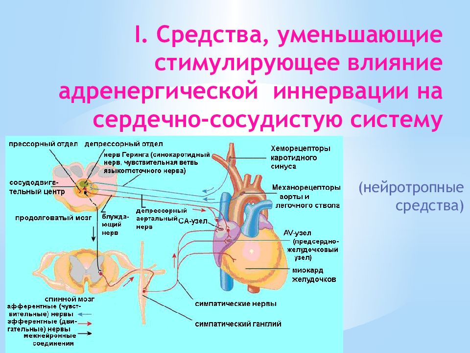 Сердечно сосудистые препараты презентация