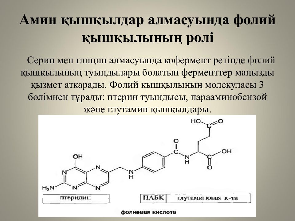 Жеке аминқышқылдардың алмасуы және оның бұзылуының биохимиялық негіздері Амин қышқылдар алмасуында фолий қышқылының ролі