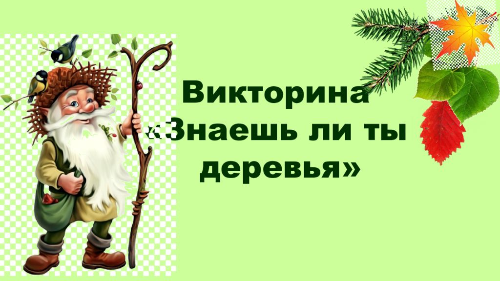 Знаешь викторины. Викторина деревья. Викторина знаешь ли ты. Игры, викторины о деревьях. Презентация викторина деревья для детей.