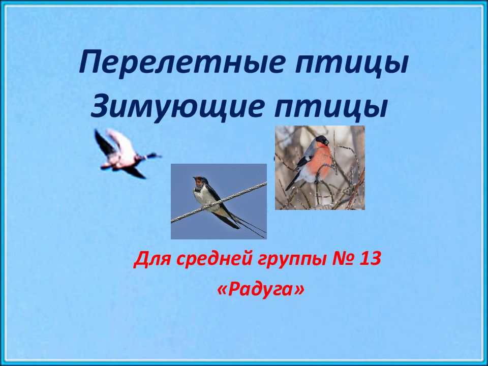 Перелетные птицы Зимующие птицы