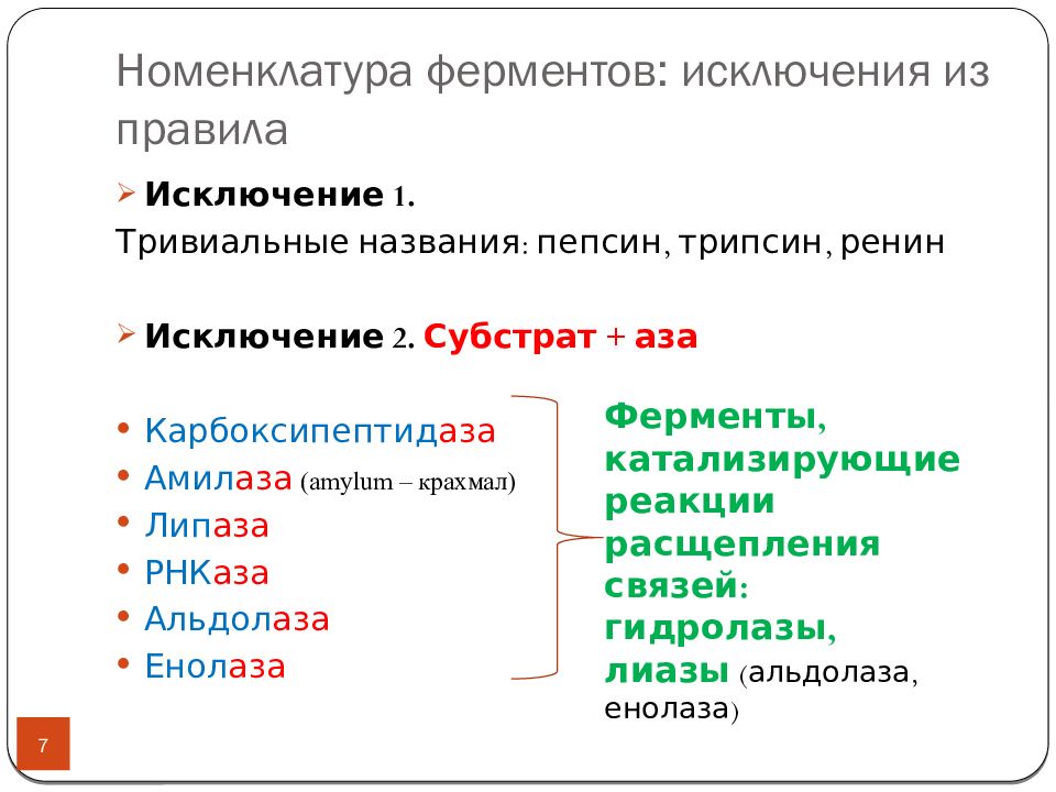 Номенклатура 7. Номенклатура трипсин. Номенклатура ферментов схема. Субстрат для фермента пепсина. Номенклатура ферментов правила номенклатуры.