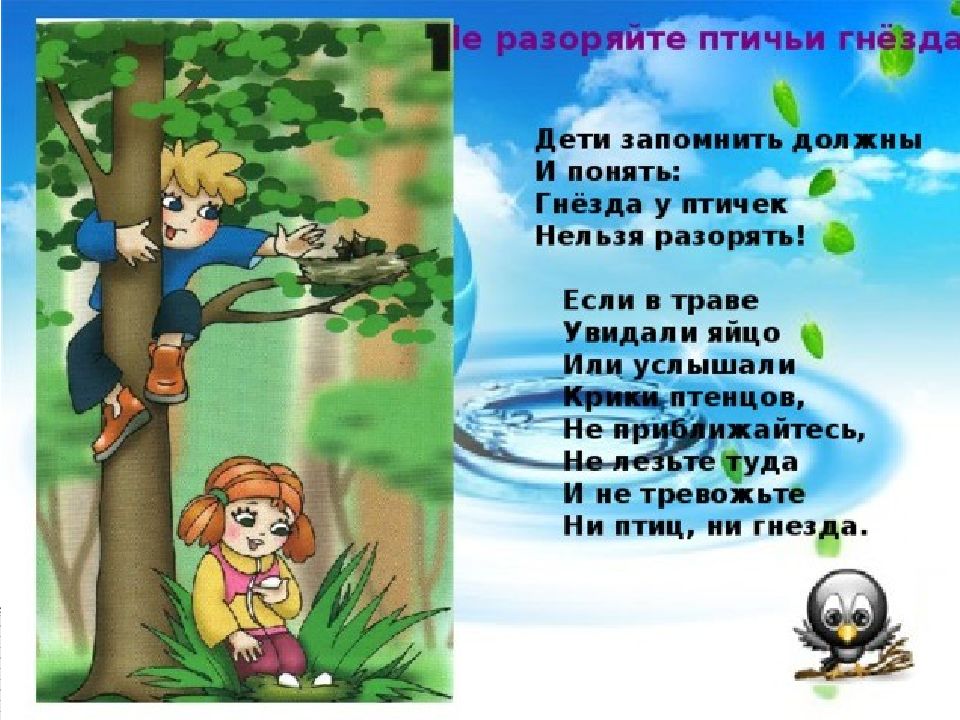 Стих об охране природы. Стихи по экологии для детей. Стихи про экологию для детей. Экология для дошкольников. Стихотворения для детей по экологии.