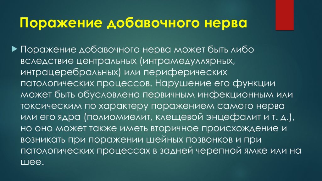 Добавочный нерв неврология презентация