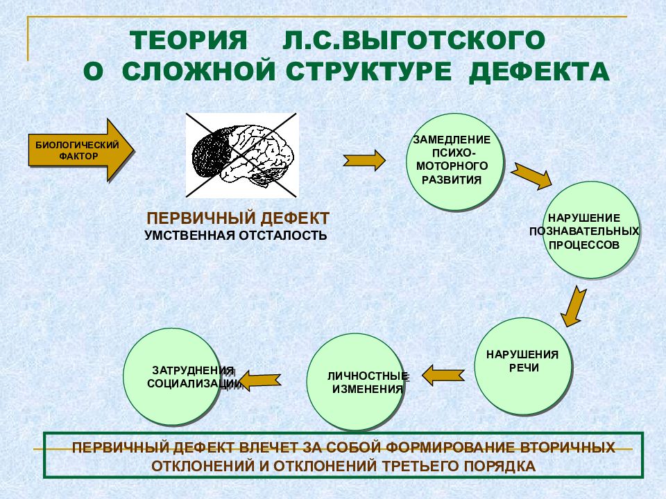 Какой пункт отсутствует в схеме обследования ребенка с отклонениями в развитии у л с выготского