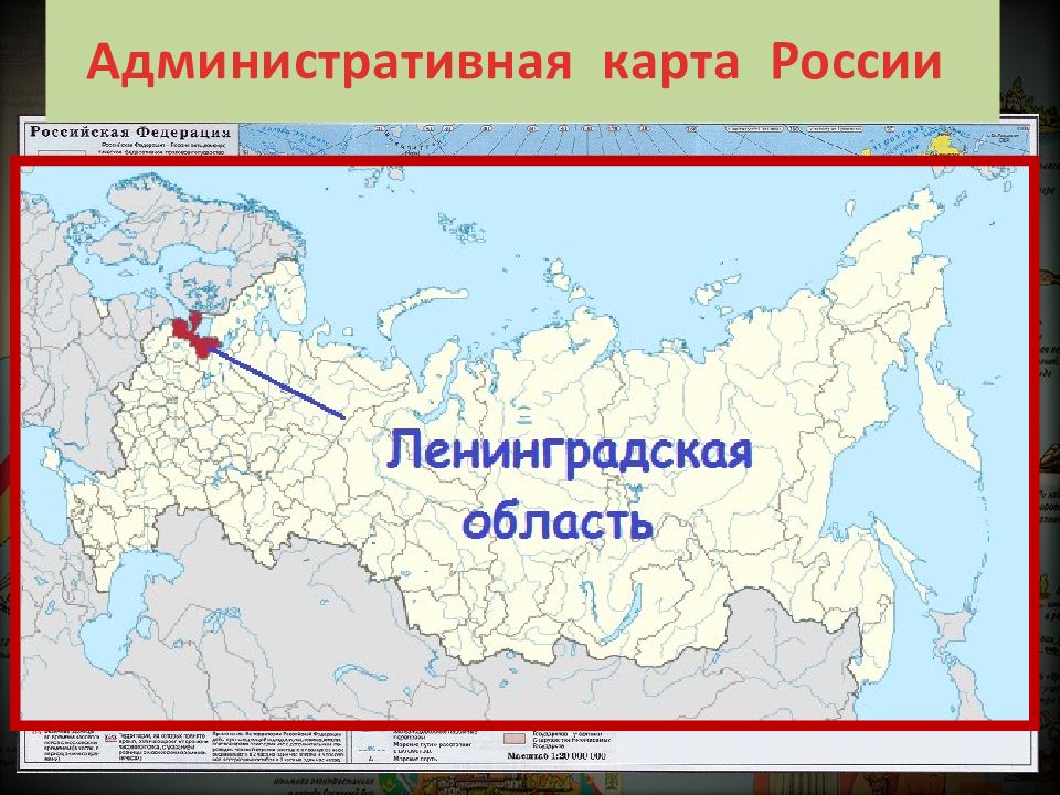 Российское ло. Ленинградская область на карте РФ. Административная карта РФ. Ленинградская обл на карте России. Административная карта России 9 класс.