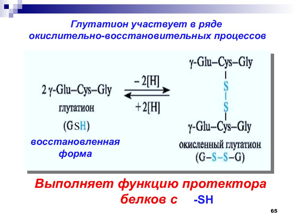 Схема образования глутатиона