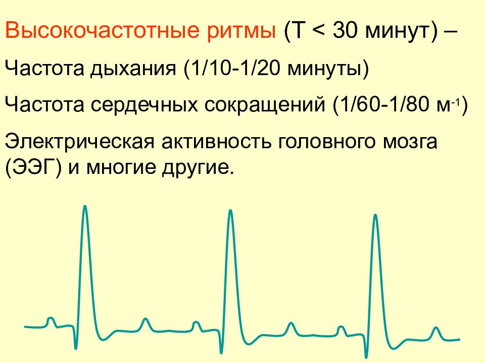 Мин частота. Высокочастотные ритмы. Самые высокочастотные ритмы мозга. Высокочастотная электрическая активность мозга Озон. Высокочастотный ритм при покое.