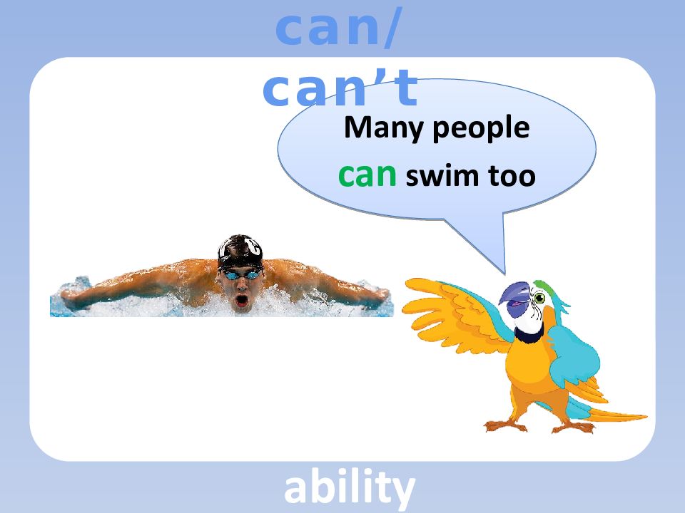 I can t swim перевод. Can can't для детей 2 класса. Can Swim. Can an Eagle Swim. Swim too many Cooks.