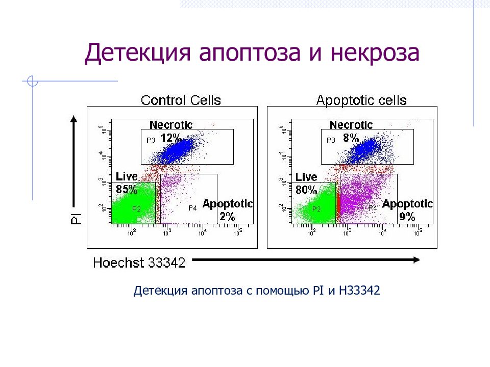 Проточная цитометрия картинки