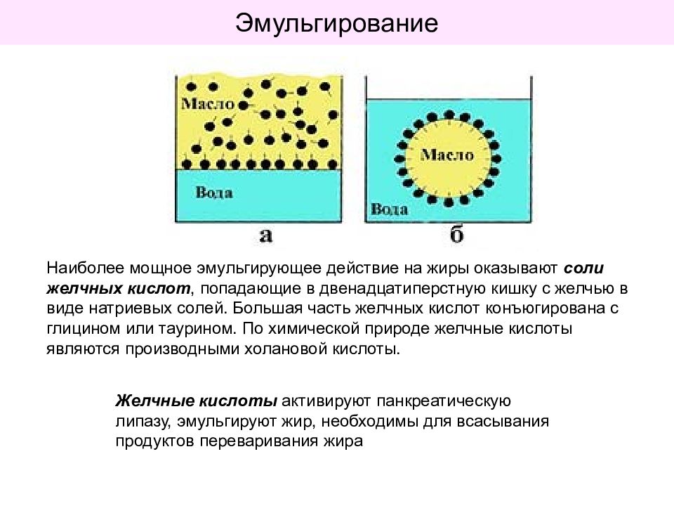 Какой процесс происходит под действием желчи. Эмульгирование жира реакция. Схема эмульгирования липидов. Механизм эмульгирования жиров. Желчные кислоты эмульгируют жиры.