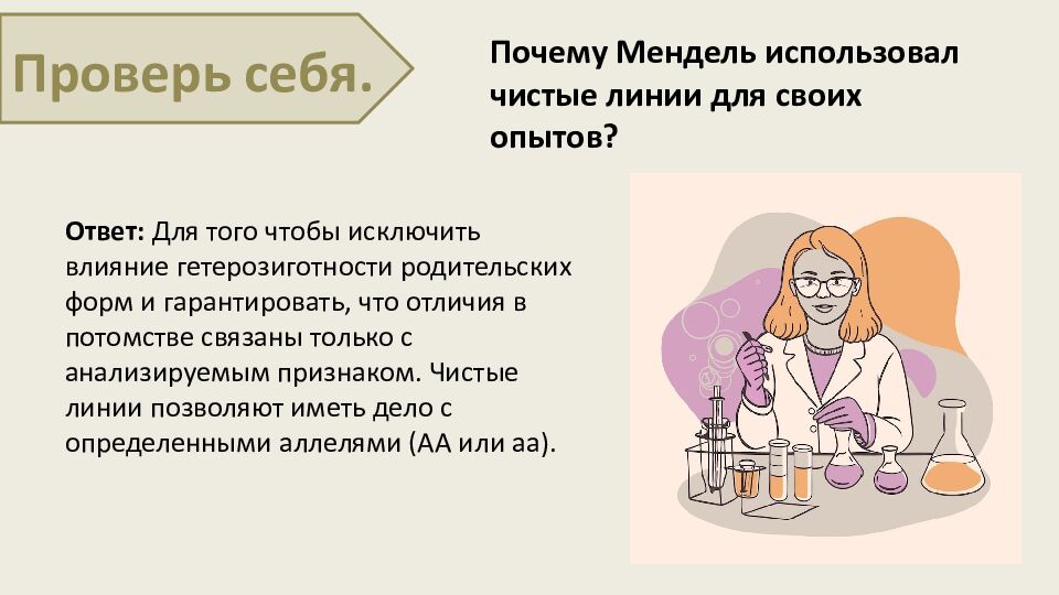 Закономерности наследования признаков. Моногибридное скрещивание