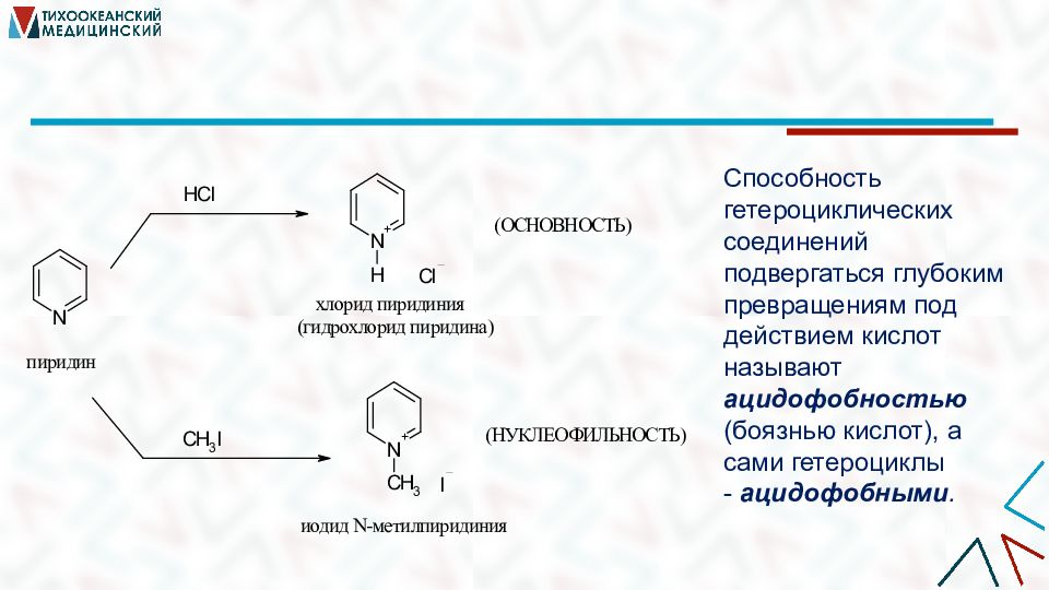 Презентация азотсодержащие гетероциклические соединения нуклеиновые кислоты