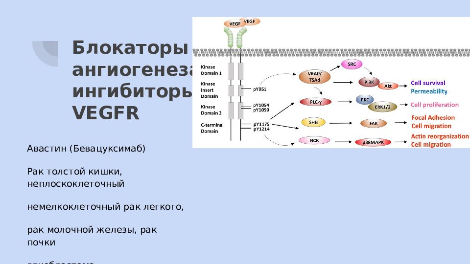 Таргетная доставка лекарственных средств презентация