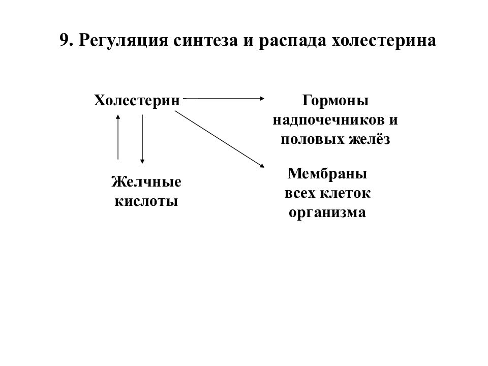 Физиология 1 лекция