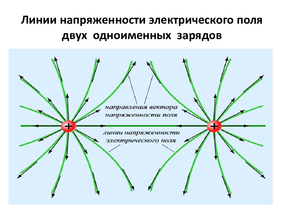 Какие заряды одноименные. Направление линий напряженности. Свойства линий напряженности электрического поля. Напряженность поля двух одноименных плоскости.