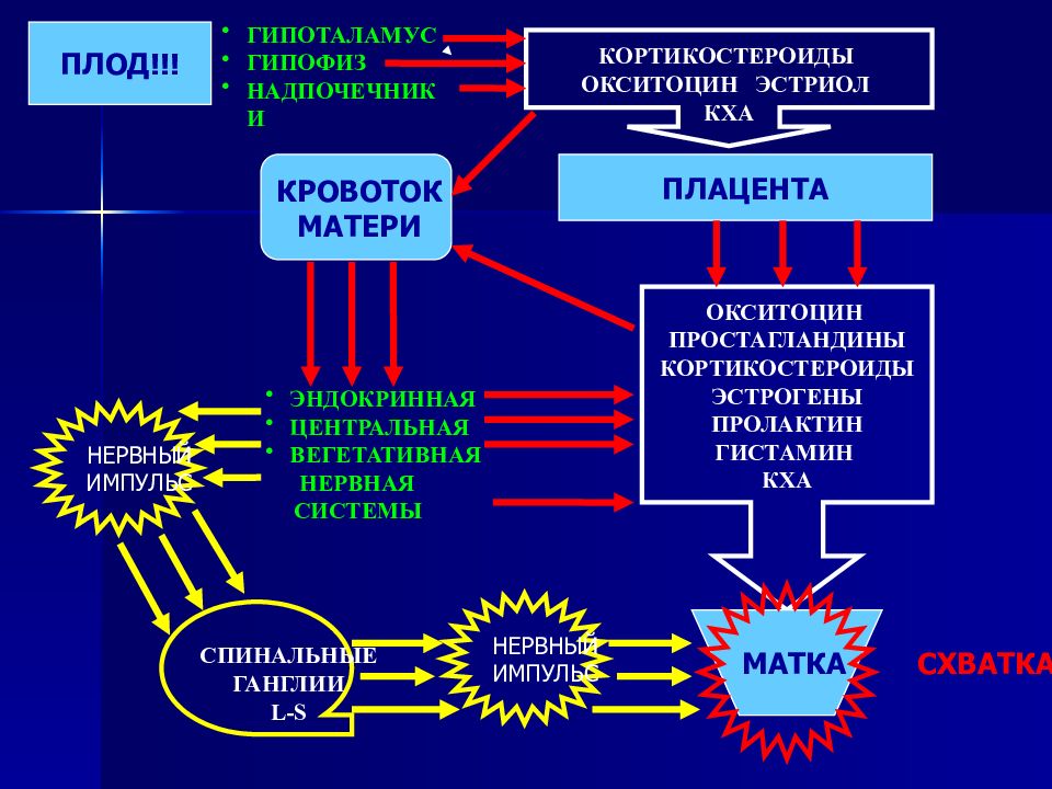 Причины наступления родов презентация