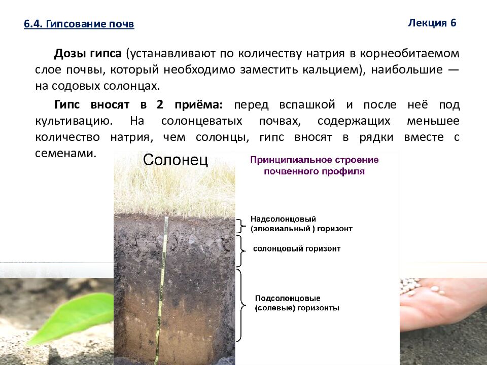 1 ЛЕКЦИЯ №6. Химическая мелиорация земель