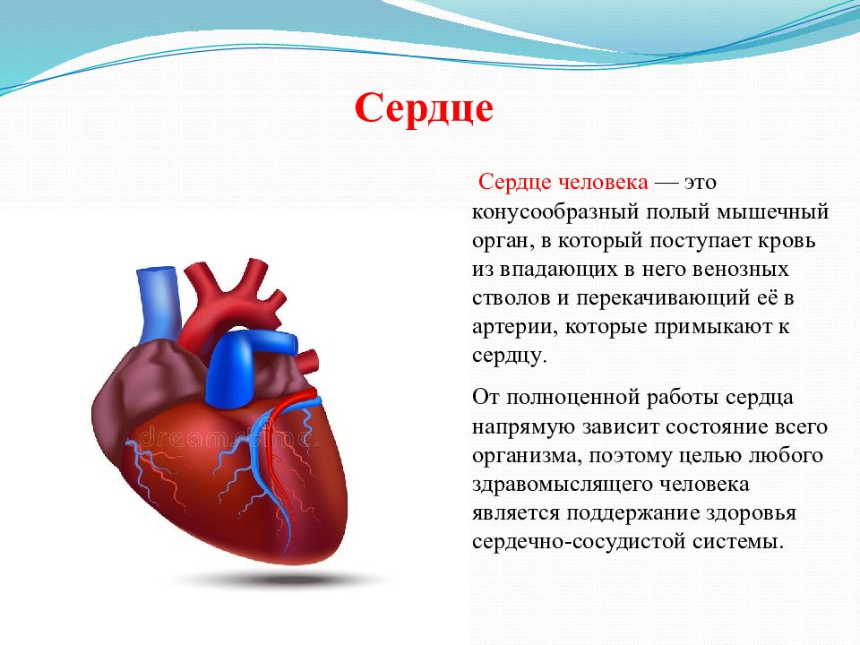 Сердце человека литература. Сердечно-сосудистые заболевания. Сосудистые заболевания сердца.