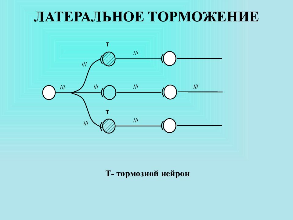 Латеральное торможение схема