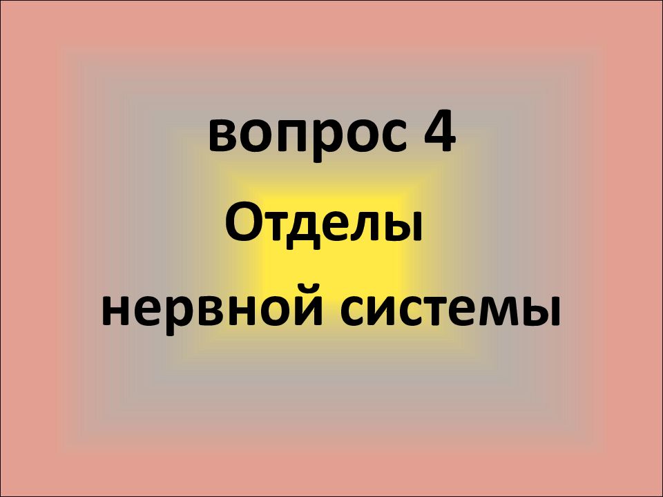 Общая характеристика нервной системы презентация