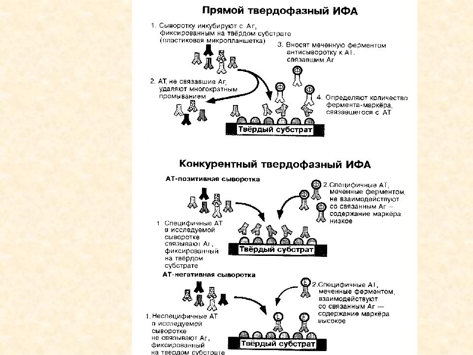 Схема неконкурентного ифа