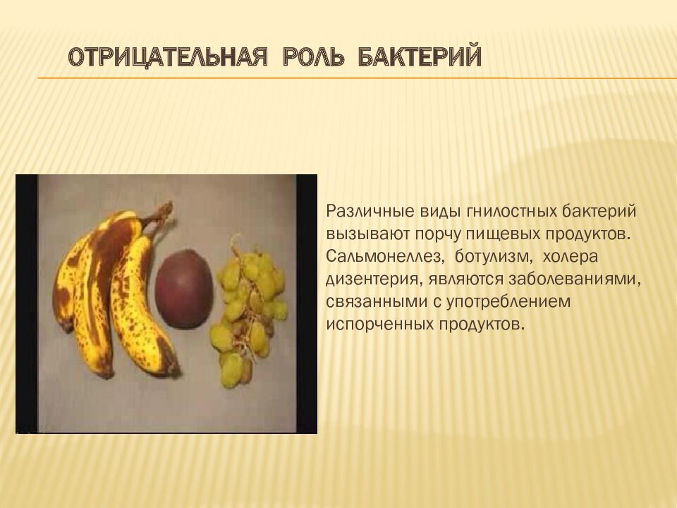 Отрицательная роль бактерий