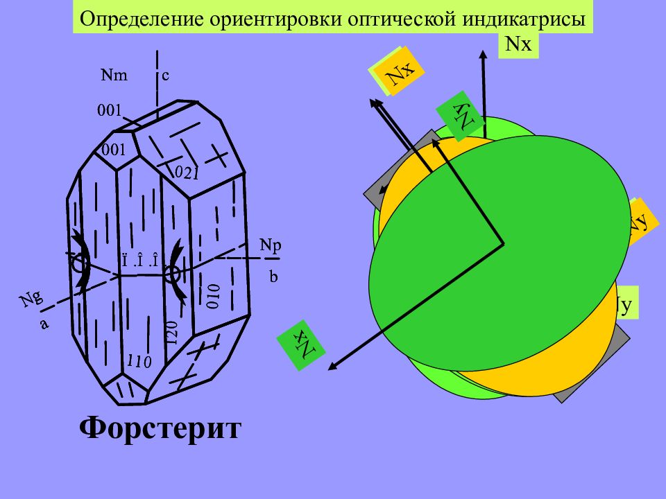 Оптическая индикатриса. Оптическая индикатриса Скаполит. Двупреломление. Оптические свойства форстерита.