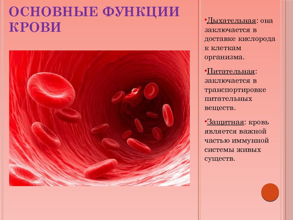 Основная функция кислорода. Основные функции крови. Дыхательная функция крови. Питательная функция крови. Основные функции клеток крови.