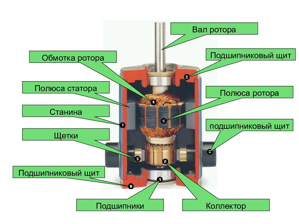 Полюс ротора. Подшипниковые щиты машины постоянного тока.