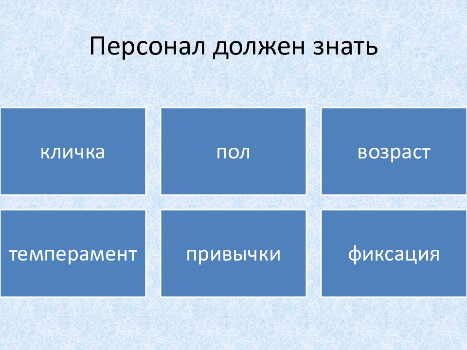 Персонал должен. Имя прозвище пол Возраст. Кличка пол Возраст животного.