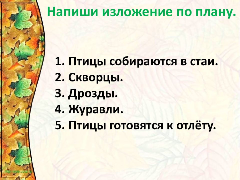 Презентация изложение текста 4 класс. Птицы собираются в стаи изложение. Птицы собираются в стаи изложение 4 класс. Изложение Дрозд. Изложение про птиц.