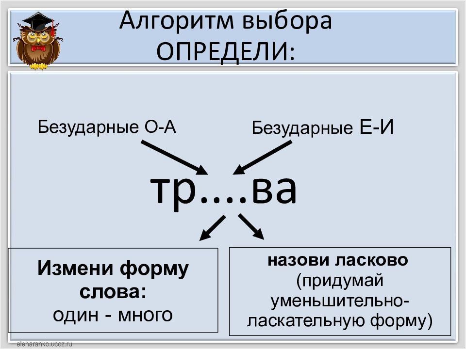 Алгоритм выбора. Алгоритм подбора проверочных слов.