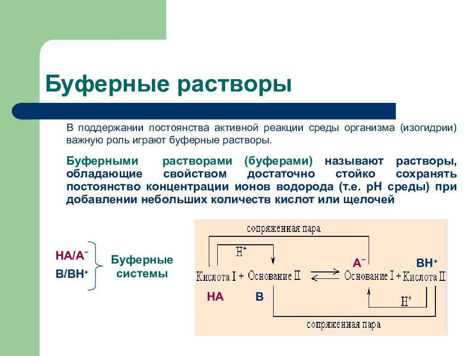 Презентация буферные системы