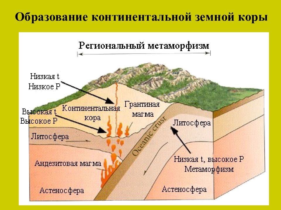 Стабильный участок земной коры. Строение Континентальной коры. Строение земной коры.