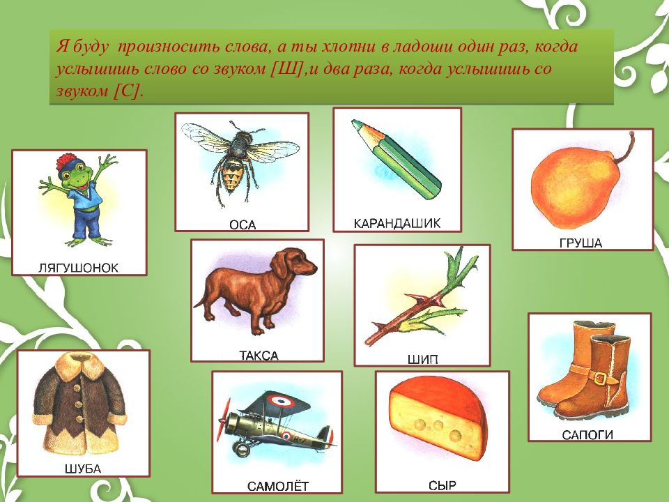 Презентация на дифференциацию звуков с ш для дошкольников