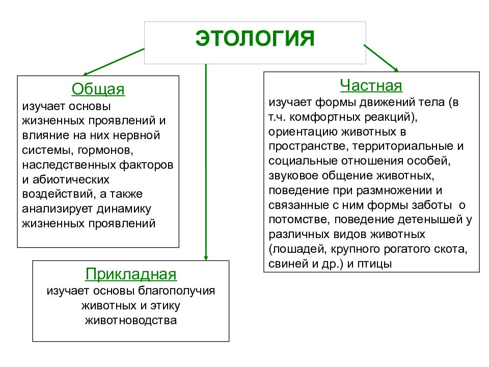 Этология это. Этология примеры. Что изучает этология. Этология это в биологии кратко. Этология это наука изучающая.