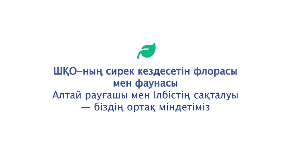 ШҚО- ның сирек кездесетін флорасы мен фаунасы Алтай рауғашы мен Ілбістің сақталуы — біздің ортақ міндетіміз
