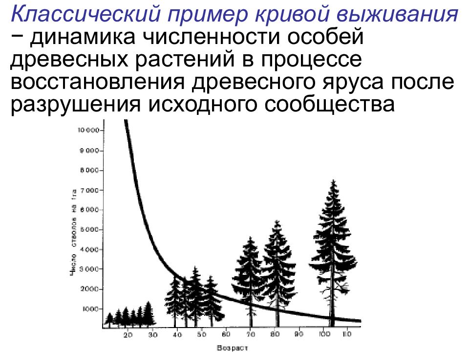 При чрезмерном увеличении численности плотности популяции. Популяция растений. Кривая динамики численности популяций. Кривые выживания популяций. Изменение численности популяции.