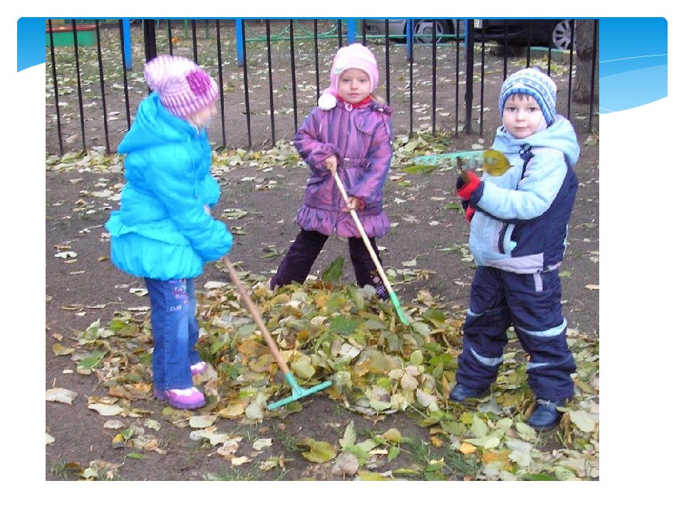 Картинка труд в природе в детском саду