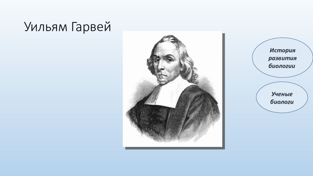 История биологии ученые. Ученый Уильям Гарвей. Гарвей биология. Уильям Гарвей презентация. Уильям Гарвей вклад в биологию.